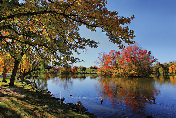 Fall colors at the Duck Pond, Virginia Tech.