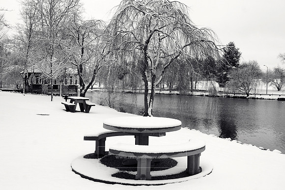 Snow-covered Duck Pond. Virginia Tech.