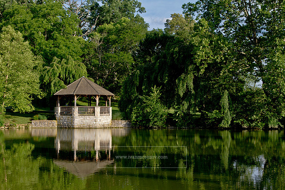 Summer at the Duck Pond. Virginia Tech.