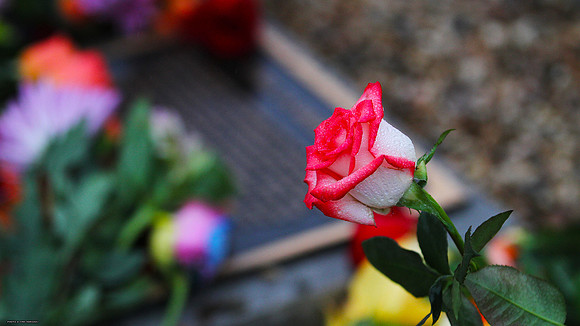 April 16 Memorial. Virginia Tech.