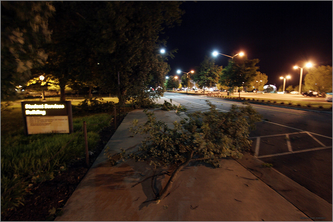 Washington Street | Derecho wind storm damage at Virginia Tech in Blacksburg, VA