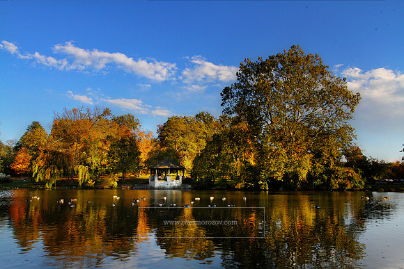 October evening at the Duck Pond.