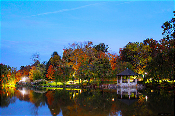 2012.10.14 Virginia Tech. Duck Pond.