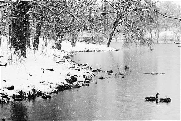 April Snow