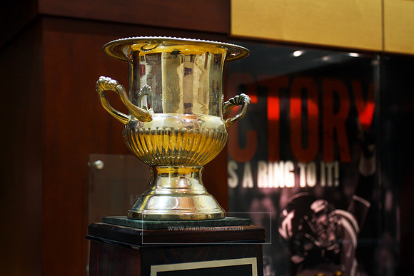 Commonwealth Cup
