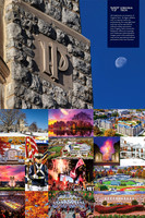 Miscellaneous Collage