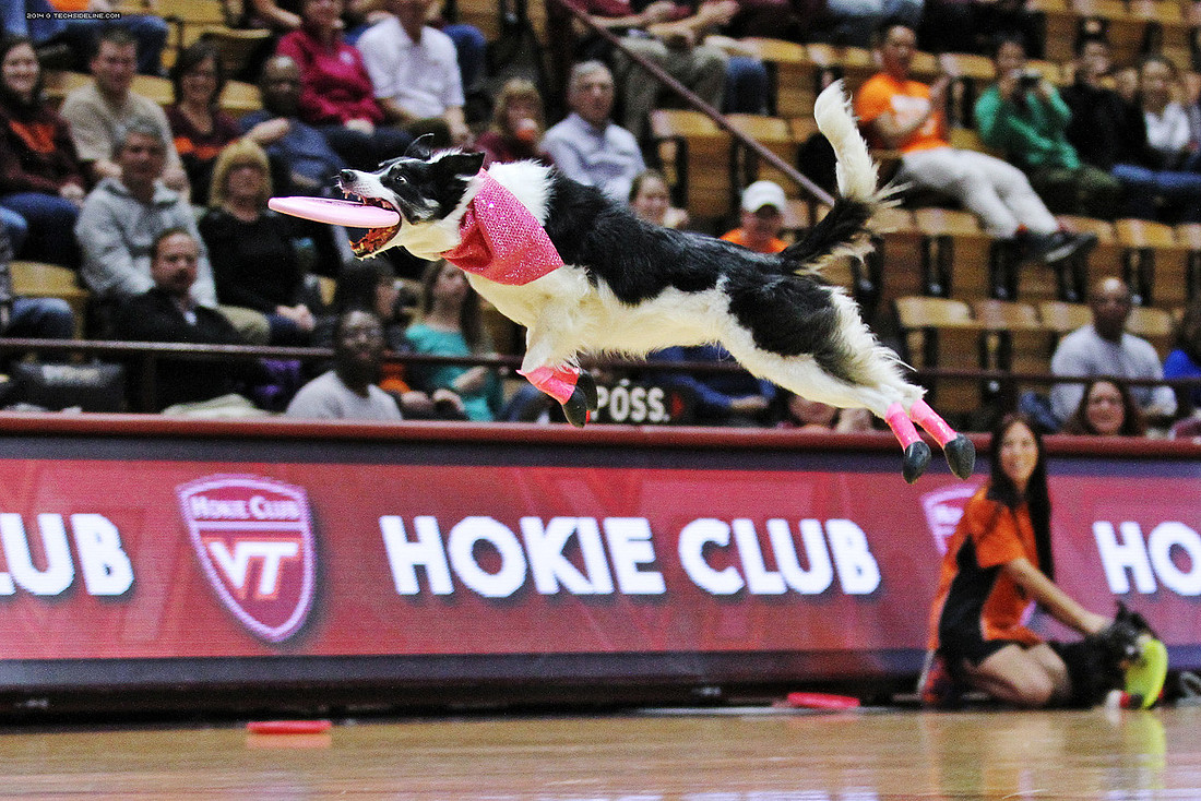 2014.11.30. MSU at VT