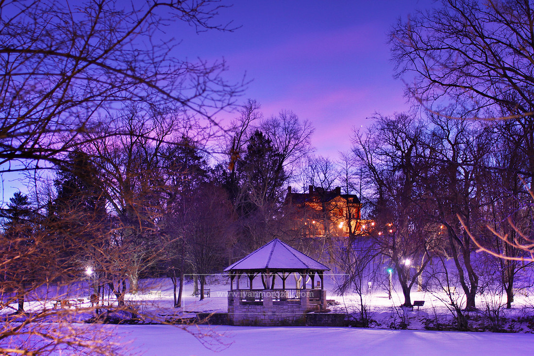 Duck Pond. Virginia Tech.