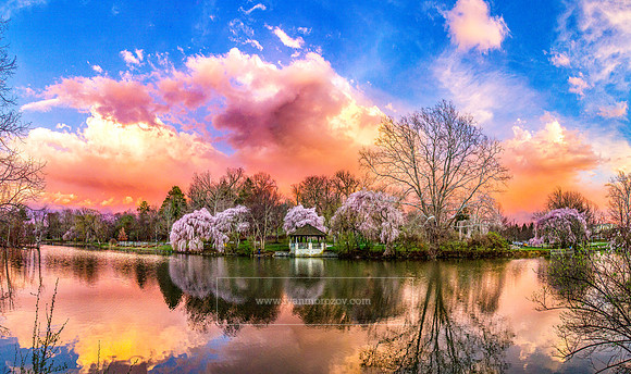 2022.03.24. Spring at the Duck Pond, Virginia Tech.