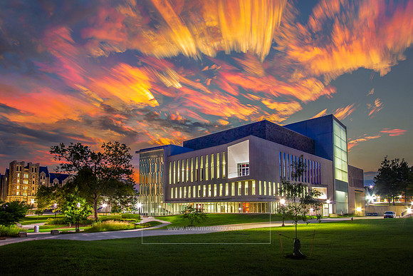 Moss Arts Center