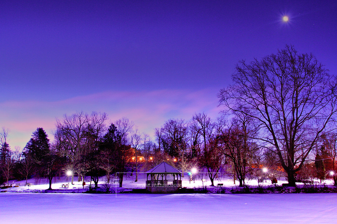 Duck Pond. Virginia Tech.