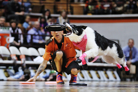 2014.11.30. MSU at VT
