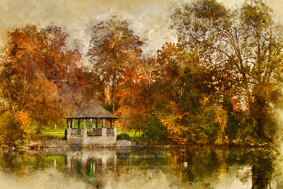 Duck Pond, 2016.11.01. WC2.