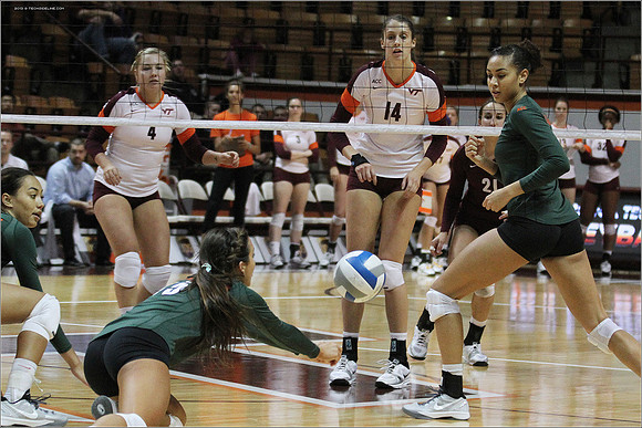 2013.11.08. Miami FL at VT. Volleyball.