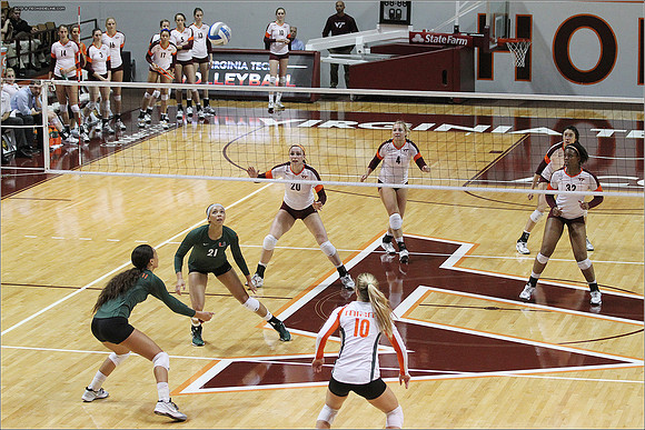 2013.11.08. Miami FL at VT. Volleyball.