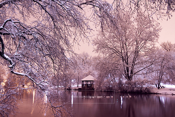 Duck Pond. Virginia Tech.